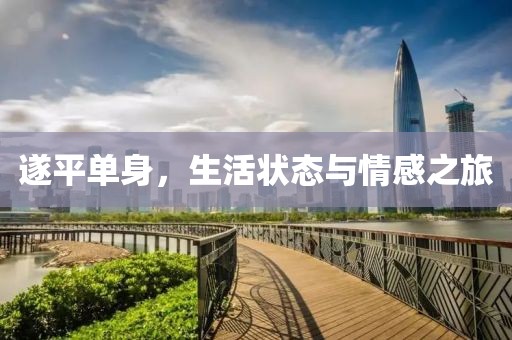 遂平单身，生活状态与情感之旅