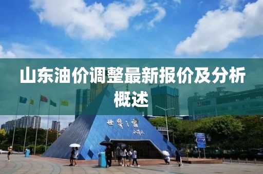 山东油价调整最新报价及分析概述