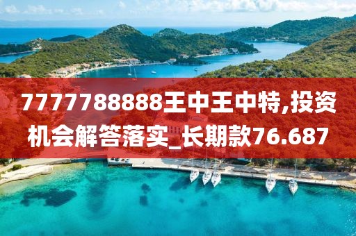 7777788888王中王中特,投资机会解答落实_长期款76.687