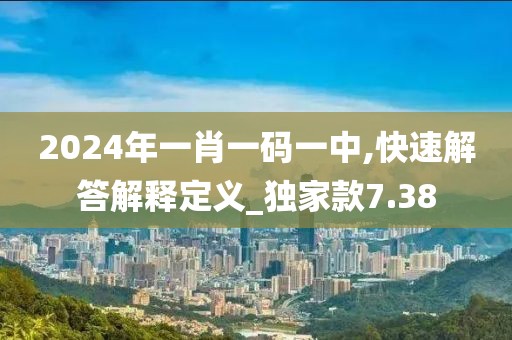 2024年一肖一码一中,快速解答解释定义_独家款7.38