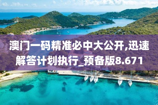 澳门一码精准必中大公开,迅速解答计划执行_预备版8.671