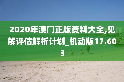 2020年澳门正版资料大全,见解评估解析计划_机动版17.603