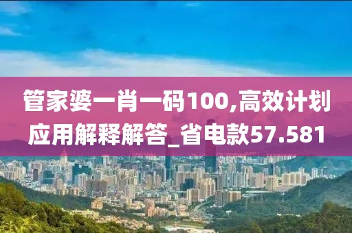 管家婆一肖一码100,高效计划应用解释解答_省电款57.581