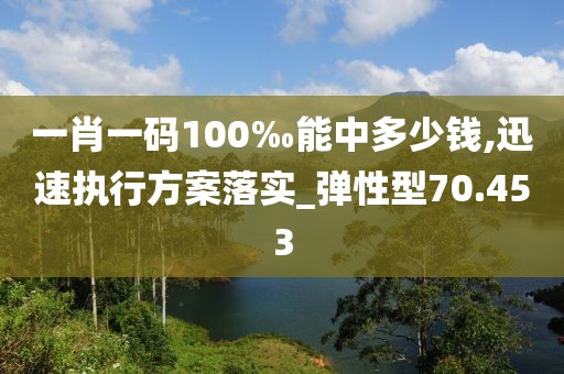 一肖一码100‰能中多少钱,迅速执行方案落实_弹性型70.453