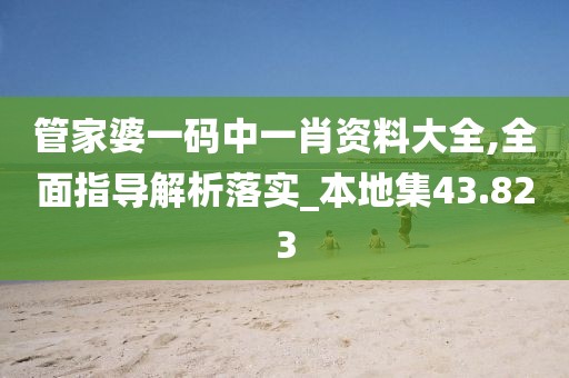 管家婆一码中一肖资料大全,全面指导解析落实_本地集43.823