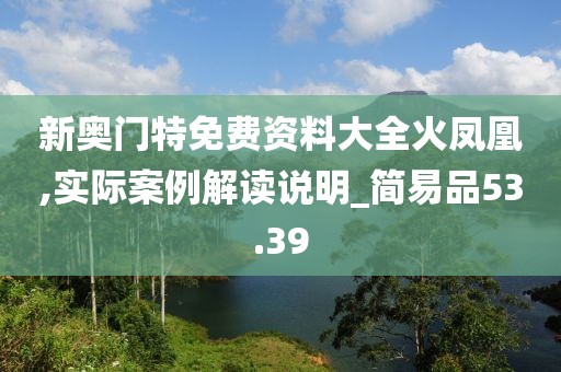 新奥门特免费资料大全火凤凰,实际案例解读说明_简易品53.39