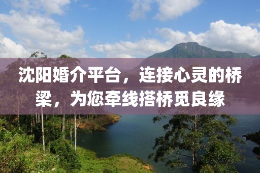 沈阳婚介平台，连接心灵的桥梁，为您牵线搭桥觅良缘