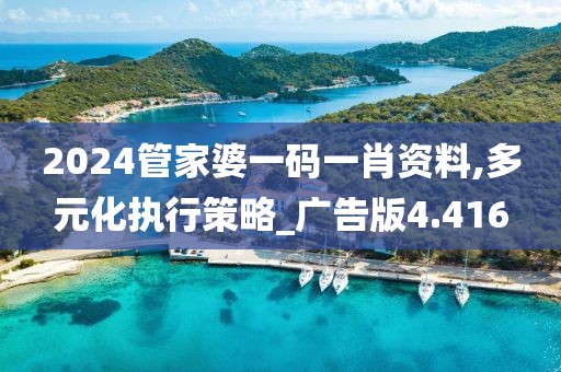 2024管家婆一码一肖资料,多元化执行策略_广告版4.416