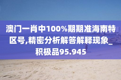 澳门一肖中100%期期准海南特区号,精密分析解答解释现象_积极品95.945