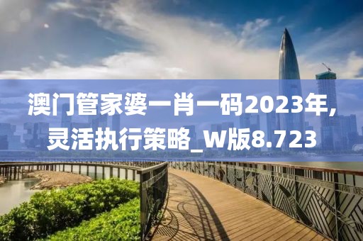 澳门管家婆一肖一码2023年,灵活执行策略_W版8.723