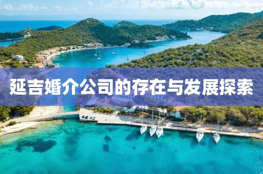 延吉婚介公司的存在与发展探索