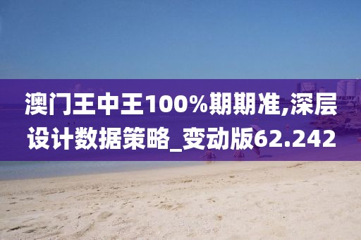 澳门王中王100%期期准,深层设计数据策略_变动版62.242
