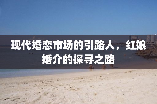 现代婚恋市场的引路人，红娘婚介的探寻之路