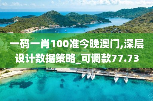 一码一肖100准今晚澳门,深层设计数据策略_可调款77.73