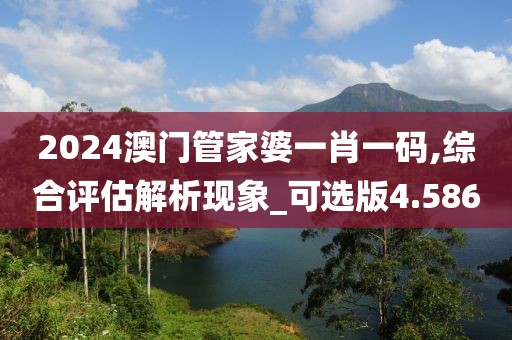 2024澳门管家婆一肖一码,综合评估解析现象_可选版4.586
