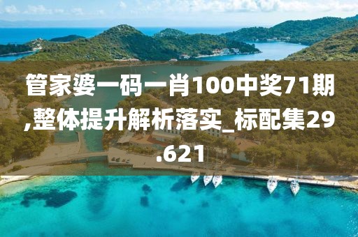 管家婆一码一肖100中奖71期,整体提升解析落实_标配集29.621