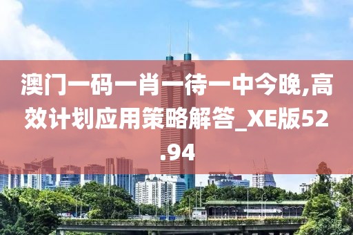 澳门一码一肖一待一中今晚,高效计划应用策略解答_XE版52.94
