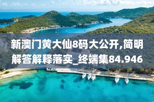 新澳门黄大仙8码大公开,简明解答解释落实_终端集84.946