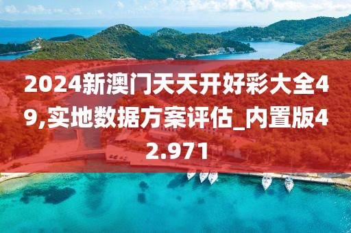 2024新澳门天天开好彩大全49,实地数据方案评估_内置版42.971