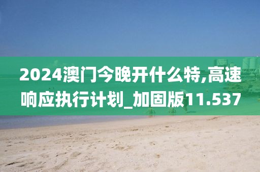2024澳门今晚开什么特,高速响应执行计划_加固版11.537