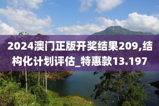 2024澳门正版开奖结果209,结构化计划评估_特惠款13.197