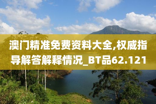 澳门精准免费资料大全,权威指导解答解释情况_BT品62.121