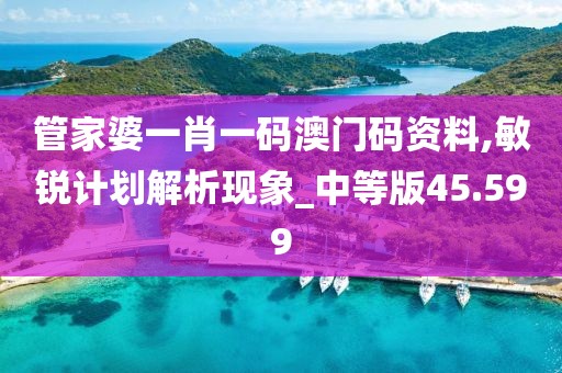 管家婆一肖一码澳门码资料,敏锐计划解析现象_中等版45.599
