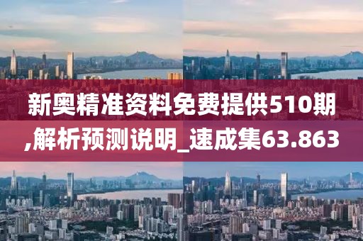 新奥精准资料免费提供510期,解析预测说明_速成集63.863