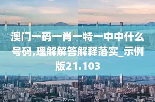 澳门一码一肖一特一中中什么号码,理解解答解释落实_示例版21.103