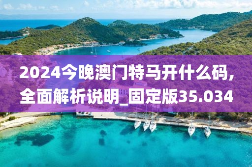 2024今晚澳门特马开什么码,全面解析说明_固定版35.034
