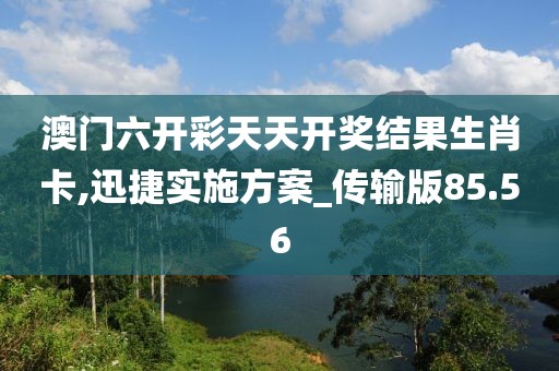 澳门六开彩天天开奖结果生肖卡,迅捷实施方案_传输版85.56