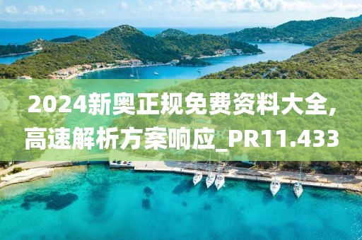 2024新奥正规免费资料大全,高速解析方案响应_PR11.433