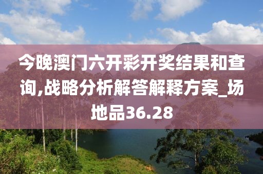 今晚澳门六开彩开奖结果和查询,战略分析解答解释方案_场地品36.28
