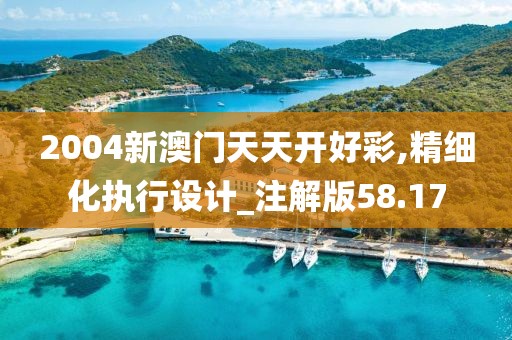 2004新澳门天天开好彩,精细化执行设计_注解版58.17