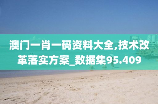 澳门一肖一码资料大全,技术改革落实方案_数据集95.409
