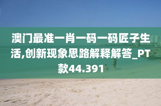 澳门最准一肖一码一码匠子生活,创新现象思路解释解答_PT款44.391
