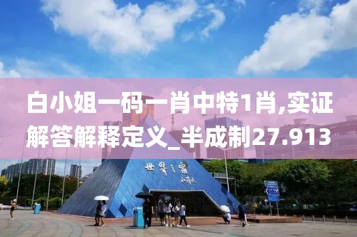 白小姐一码一肖中特1肖,实证解答解释定义_半成制27.913