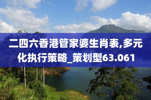二四六香港管家婆生肖表,多元化执行策略_策划型63.061