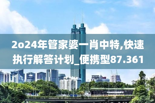 2o24年管家婆一肖中特,快速执行解答计划_便携型87.361