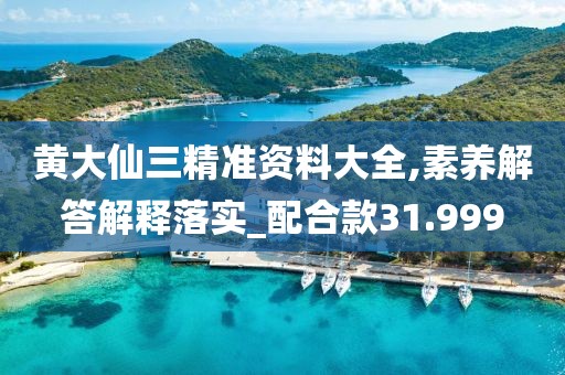 黄大仙三精准资料大全,素养解答解释落实_配合款31.999