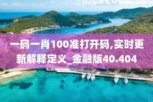 一码一肖100准打开码,实时更新解释定义_金融版40.404