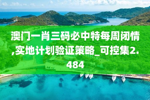 澳门一肖三码必中特每周闭情,实地计划验证策略_可控集2.484