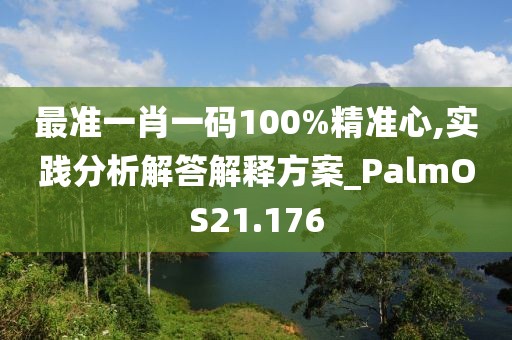 最准一肖一码100%精准心,实践分析解答解释方案_PalmOS21.176