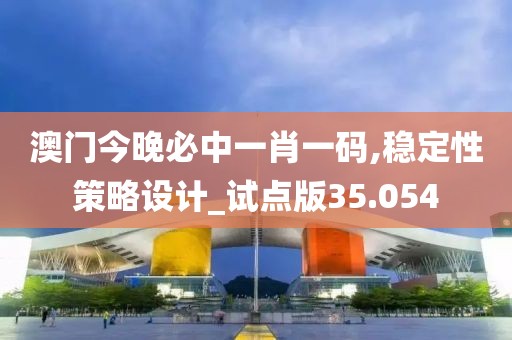 澳门今晚必中一肖一码,稳定性策略设计_试点版35.054