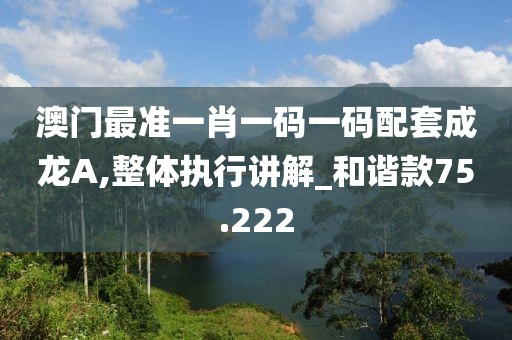 澳门最准一肖一码一码配套成龙A,整体执行讲解_和谐款75.222