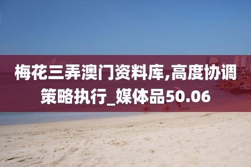 梅花三弄澳门资料库,高度协调策略执行_媒体品50.06