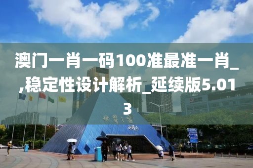 澳门一肖一码100准最准一肖_,稳定性设计解析_延续版5.013