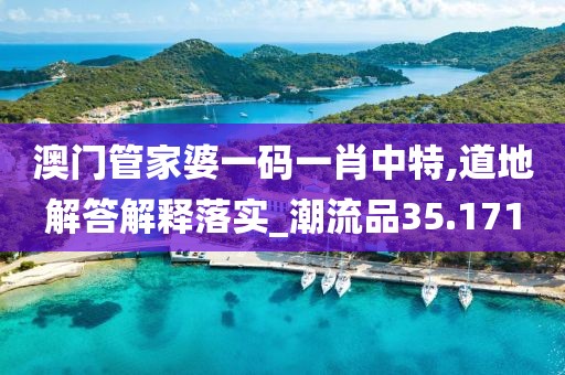 澳门管家婆一码一肖中特,道地解答解释落实_潮流品35.171