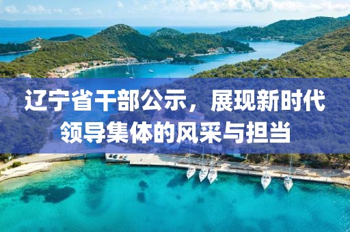 辽宁省干部公示，展现新时代领导集体的风采与担当