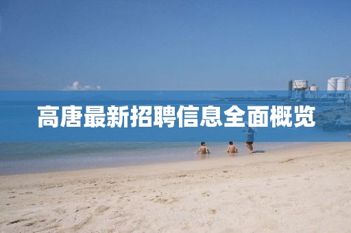 高唐最新招聘信息全面概览